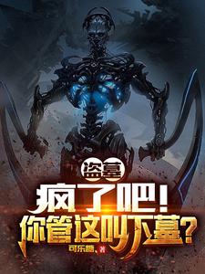 盗墓：疯了吧！你管这叫下墓？免费阅读，盗墓：疯了吧！你管这叫下墓？章节在线阅读