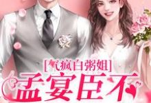 气疯白粥姐,孟宴臣不当舔狗了孟宴臣薛杉杉小说在线章节目录阅读最新章节-经典文学