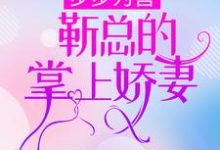 步步为营,靳总的掌上娇妻小说,步步为营,靳总的掌上娇妻章节在线阅读-经典文学