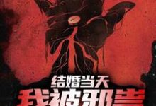 结婚当天,我被邪祟拿了一血这本小说怎么样?免费在线阅读试试-经典文学