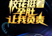 在线寻找叶辰刘伊娜的小说,被分手后,校花挺着孕肚让我负责免费阅读-经典文学
