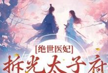 求绝世医妃，拆光太子府嫁摄政王小说的全文免费阅读链接-经典文学