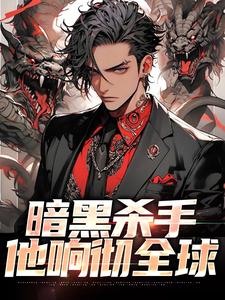 《暗黑杀手他响彻全球》全集免费在线阅读（17）