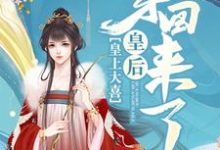 沈忆凝赫连熠沈忆乐小说叫什么(皇上大喜:皇后穿回来了免费阅读)-经典文学