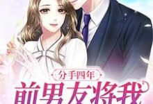 哪里可以免费读到沈郁季眠的完整故事？寻找分手四年，前男友将我堵在墙角-经典文学