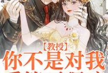 主角叫裴宴清苏晚宁的小说在哪阅读-经典文学