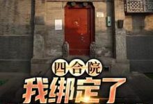 四合院：我绑定了黄金垂钓系统小说阅读，四合院：我绑定了黄金垂钓系统完结版-经典文学