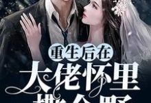重生后在大佬怀里撒个野小说的无弹窗阅读体验，寻找免费阅读网站-经典文学