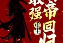 寻找能够免费阅读重生：最强天帝回归小说的平台-经典文学
