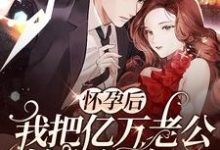 完结版《怀孕后，我把亿万老公始乱终弃了》章节阅读-经典文学