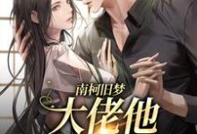 已完结小说《南柯旧梦：大佬他恋恋不忘》最新章节-经典文学