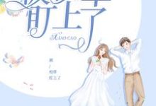 颜可忆陆奕凯为主角的小说被校草盯上了在线阅读-经典文学