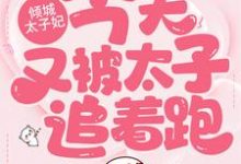 倾城太子妃:今天又被太子追着跑这本小说在哪里可以看?哪里有免费试读章节?-经典文学