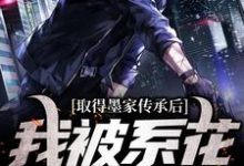 取得墨家传承后，我被系花盯上了小说，取得墨家传承后，我被系花盯上了最新章节-经典文学