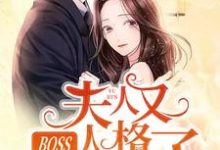 《BOSS，夫人又人格分裂了》小说主角安凝夜盛霆远章节章节免费在线阅读-经典文学