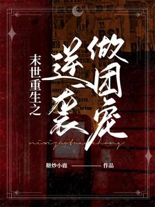主角叫唐栗白皓宇的小说在哪阅读