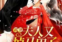 求祁爷,夫人又掉马甲了小说的全文免费阅读链接-经典文学
