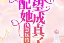 执意嫁给乡里汉，女配她愿望成真了免费阅读，执意嫁给乡里汉，女配她愿望成真了章节目录-经典文学
