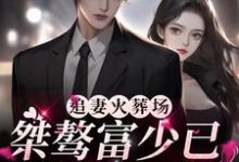 寻找能够免费阅读追妻火葬场：桀骜富少已是她裙下臣小说的平台-经典文学