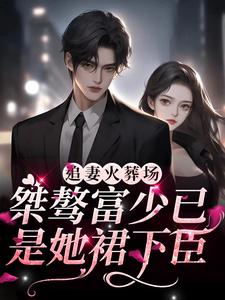 寻找能够免费阅读追妻火葬场：桀骜富少已是她裙下臣小说的平台