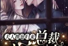 夫人携崽归来，总裁夜夜追妻最新章节，夫人携崽归来，总裁夜夜追妻章节在线阅读-经典文学