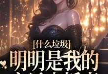 小说《什么垃圾,明明是我的宝贝未婚妻》在线章节阅读-经典文学