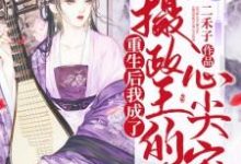 《重生后我成了摄政王的心尖宠》小说大结局免费试读 叶白芷唐渊小说-经典文学