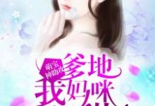 萌宝神助攻:爹地,我妈咪超甜小说有没有完整的免费版本在线阅读?-经典文学