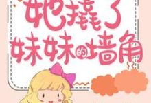 小说《娇妻太飒:她撬了妹妹的墙角》章节免费阅读-经典文学