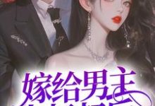 裴宴洲金多多的小说在哪里看?免费在线阅读嫁给男主小叔叔后,躺赢了-经典文学