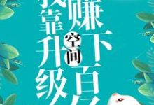 九零:我靠升级空间赚下百亿小说完结了吗?在哪里可以免费读到?-经典文学