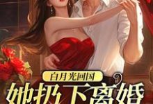 白月光回国，她扔下离婚协议离开小说的所有章节都能在哪里免费读到？-经典文学