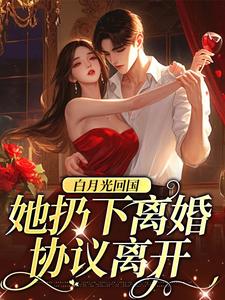 白月光回国，她扔下离婚协议离开小说的所有章节都能在哪里免费读到？