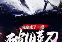 主人公叫苏木的小说我变成了一把破旧菜刀在线阅读章节-经典文学