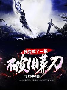 主人公叫苏木的小说我变成了一把破旧菜刀在线阅读章节
