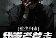 想读云辉云哲的故事，哪里可以免费找到重生归来，我带老爹走上人生巅峰？-经典文学