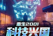 小说《重生2001:科技兴国,势在必得》在线章节阅读-经典文学