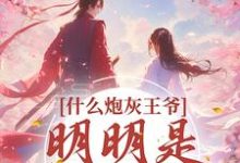 主人公叫苏染萧云霆的小说哪里免费看-经典文学
