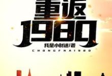 郭刚刘晓园的故事在哪本书里？免费阅读重返1980-经典文学