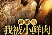 哪里能找到离婚后，我被小鲜肉们围满了小说的最新更新和免费章节？-经典文学
