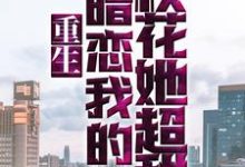 小说《重生:暗恋我的校花她超甜》章节阅读-经典文学