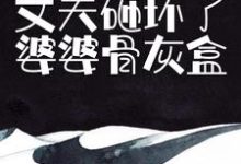 为气我,丈夫砸坏了婆婆骨灰盒这本小说完结了吗?免费查看最新章节-经典文学
