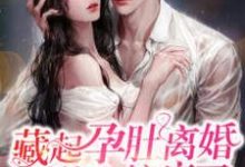 已完结小说《藏起孕肚离婚,总裁他失控疯了》在线章节阅读-经典文学