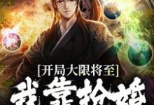 开局大限将至,我靠抢婚续命苏秦云鹤小说免费阅读-经典文学