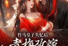 主角沈思凝姜逾白小说完结版在线阅读,竹马皇子失忆后,青梅改嫁太子了免费看-经典文学