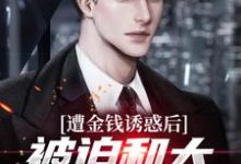 江玄苏瑾小说《遭金钱诱惑后,被迫和大小姐领本本》在线阅读-经典文学