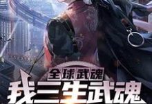 全球武魂：我三生武魂，震惊世界小说完结版章节免费阅读-经典文学