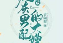小说《穿成炮灰男配的大嫂》在线章节阅读-经典文学