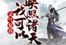 叶枫是哪本书的主角?灵气复苏,我可以映照诸天免费读-经典文学