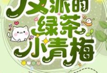 穿成反派的绿茶小青梅叶轻浅季承远在线章节免费阅读-经典文学